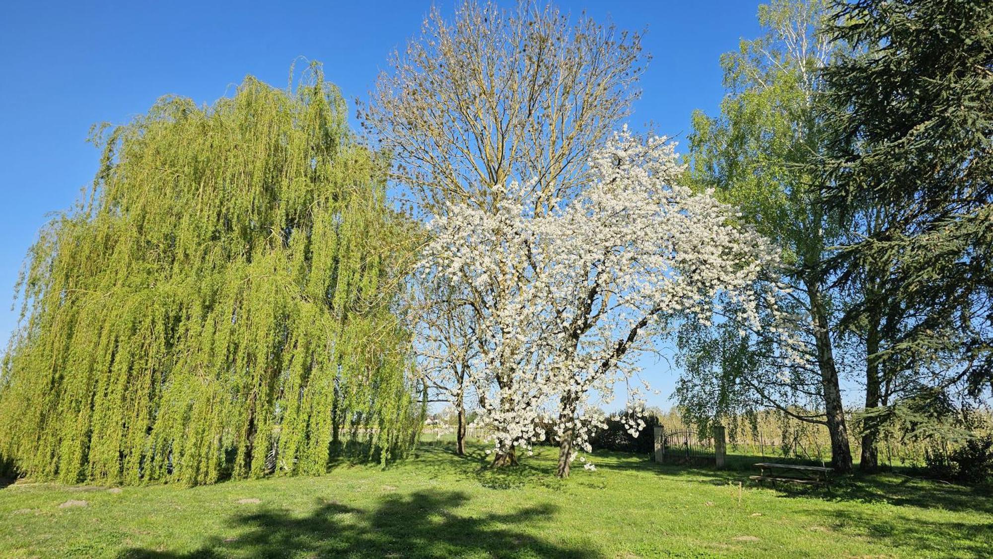 Domaine Des Moizons, Le Figuier Apartment Villebernier ภายนอก รูปภาพ